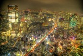 pataraya11_2011_01_08