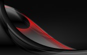 plevas_2011_01_28