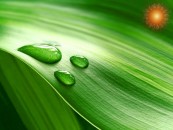 pyshman_2011_02_07