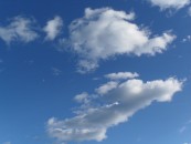 samlovesasha_2011_01_27