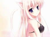 Shyrik26_2011_01_04