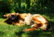stasik69_2011_01_16