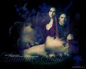 the vampires diaries