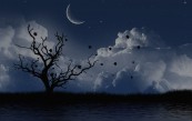 tratata55_2011_01_23