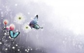 tyui0_2011_02_11